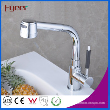 Fyeer Flexible Hose for Kitchen Faucet with Pull out Spray